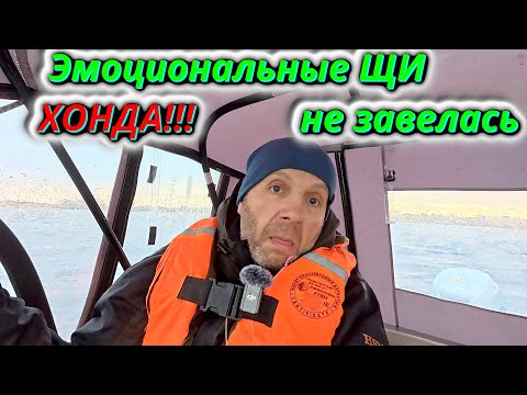 Видео: Крах надежды. Моя Honda не завелась  холодной Осенью!
