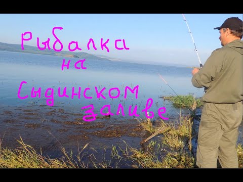 Видео: Едем на рыбалку на Сыдинский залив. Красноярское водохранилище.