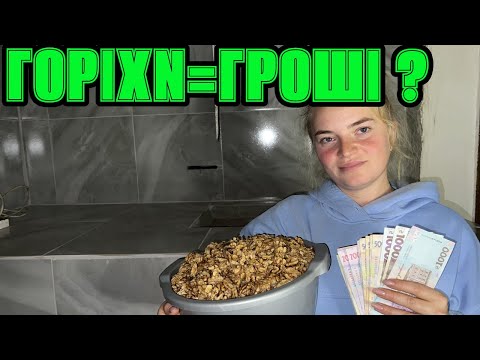 Видео: Як ми заробили на горіхах у селі 💰 Весь процес від збору до продажу!