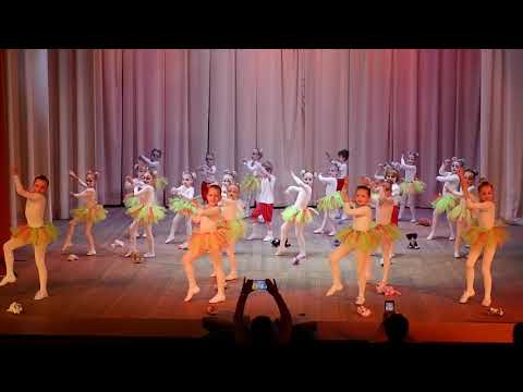 Видео: Апельсин "Кошка беспородная"