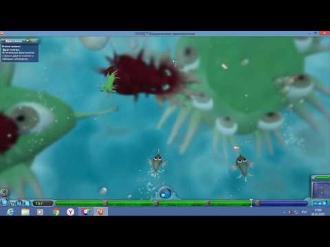 Видео: прохождение спор !