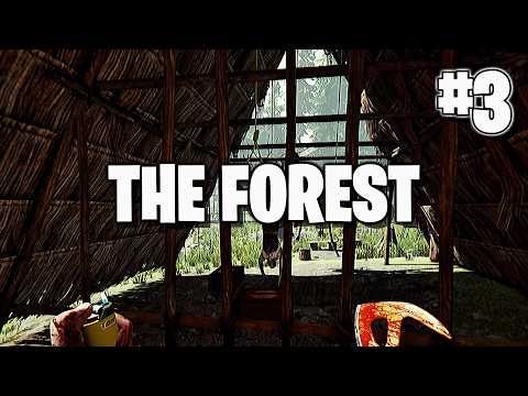Видео: ЗАГАДОЧНЫЙ ОСТРОВ | THE FOREST