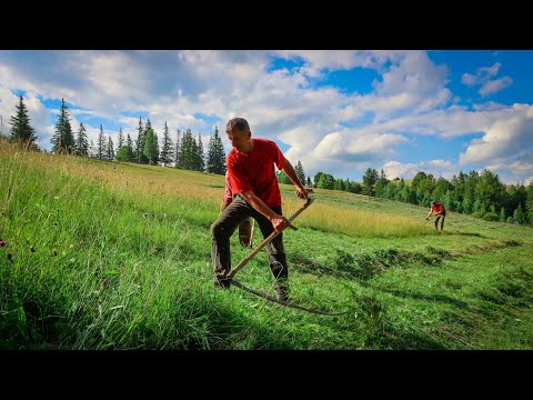 Видео: Як косять траву в Карпатах. Заготівля сіна на зиму для худоби