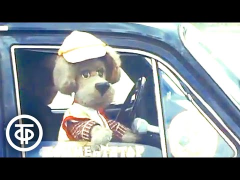 Видео: Спокойной ночи, малыши! Собаки разных пород (1985)