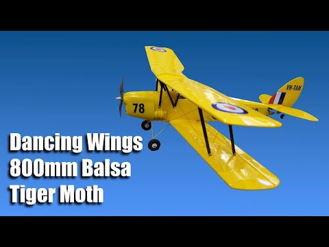 Видео: Dancing Wings Hobby 800 мм Balsa Tigermoth