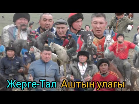 Видео: Жерге-Тал Аштын улагы 20 марта 2022 г.
