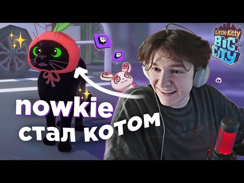 Видео: НОУКИ стал КОТОМ на СТРИМЕ | nowkie нарезка
