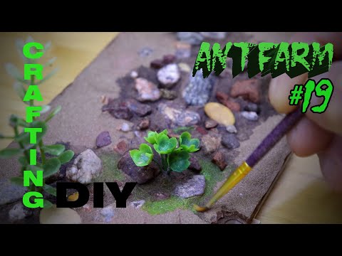 Видео: Муравьиная ферма #19. Как сделать формикарий.