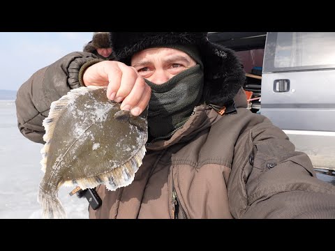 Видео: Зимняя рыбалка на камбалу | Опять выбрали нелётную погоду