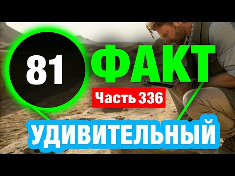 Видео: 81 Захватывающий Факт В Который Сложно Поверить