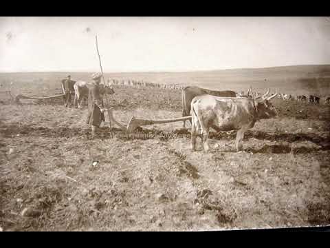 Видео: Незабравимо минало  Сей Земеделецо  редакция Георги Литов София