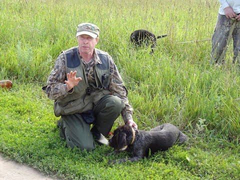 Видео: В гостях у Виклушкина Вячеслава Петровича.