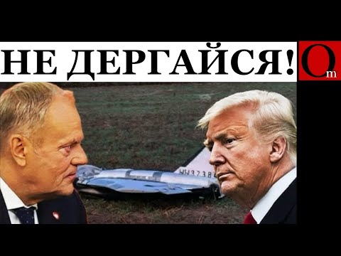 Видео: Двадцать дронов — ноль реакции. Польша кипит, США чешут репу
