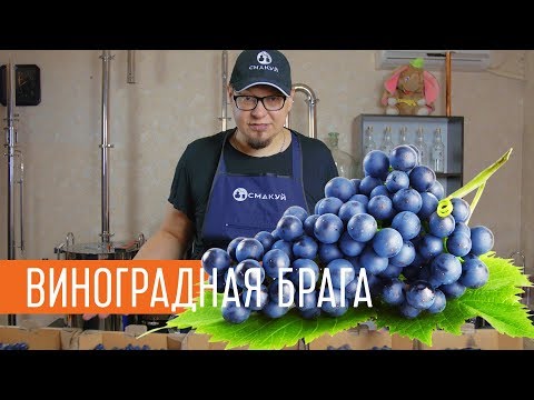 Видео: Ставим виноградную брагу