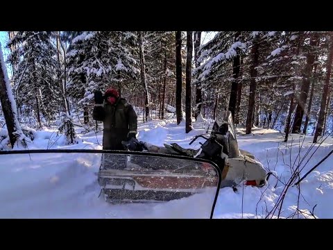 Видео: Дед - Егерь заманил нас в Тайгу в рабство, чтобы потом...(часть 3)The huntsman lured us into slavery