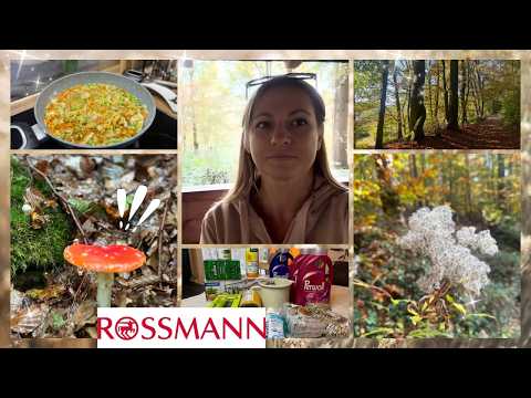 Видео: VLOG 🇩🇪 В лесу за грибами 🍄‍🟫и в Rossmann за скидками • выгодные покупки и 🍂осенний лес