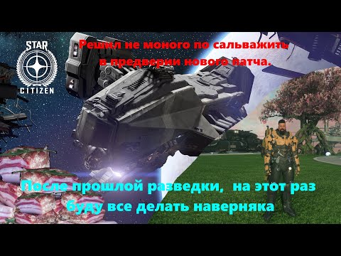 Видео: Star Citizen -   Решил отдохнуть и не много по сальважиь.
