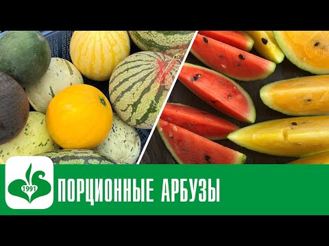 Видео: НЕВЕРОЯТНАЯ ТАЙНА САМЫХ СЛАДКИХ АРБУЗОВ! СЕМЕНА АРБУЗОВ от СЕМКО