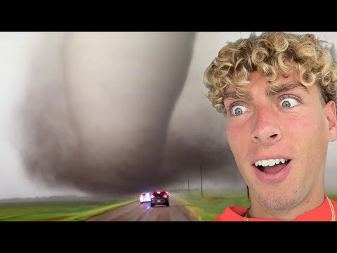 Видео: Самые безумные видео о природе