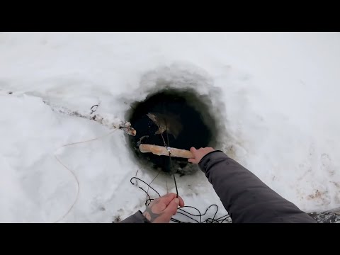 Видео: Рыбалка у чёрной дыры. Ловля налима. Серия двадцать пятая.