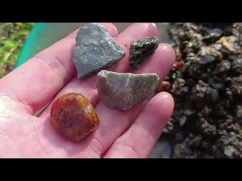 Видео: ЗОЛОТО В РУЧЬЕ ( на разведке )