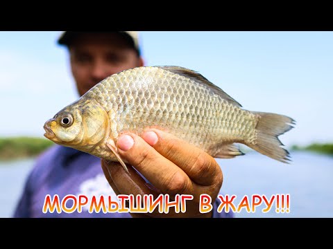 Видео: Карась, окунь, подлещик на мормышинг в жару! Мой путь в МОРМО!