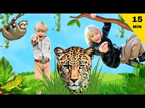 Видео: В дикой природе: приключение в тропическом лесу 🦋🌳