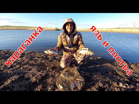 Видео: Язь и плотва весной на ИРИКЛЕ 11.05.22.