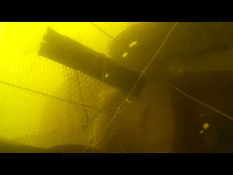 Видео: Жезказганское водохранилище. Съемка под водой.