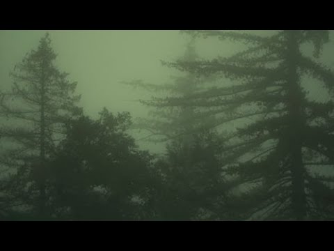 Видео: †A playlist, but what did I do wrong.../Плейлист, но что я сделал не так...†