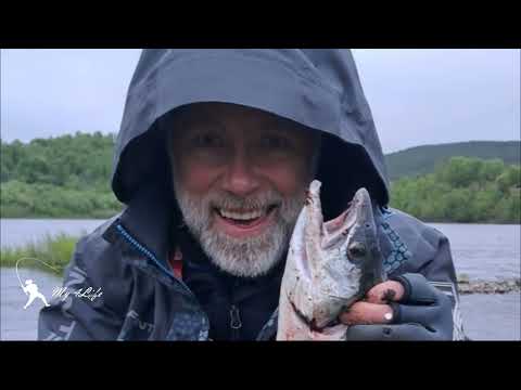 Видео: Рыбалка на Кольском полуострове 2025 г . А ВОТ И ЛОСОСЬ. Эпизод 5 и 6