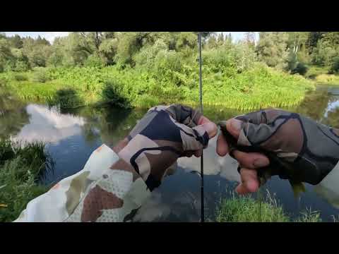 Видео: Попал на РАЗДАЧУ! Рыбалка на СПИННИНГ летом в МАЛОЙ РЕКЕ! МОРМЫШИНГ!