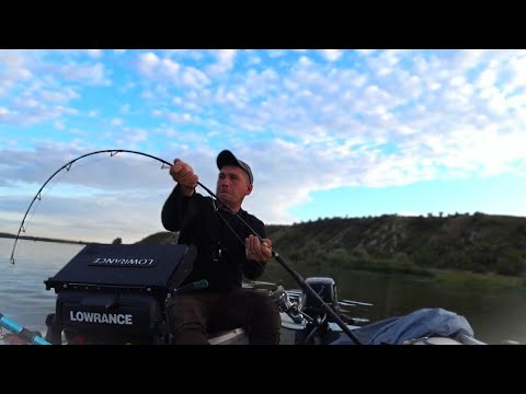 Видео: ВОТ ЭТО ДА!!! ГЛУБИНА 4 МЕТРА! А СОМА ЗДЕСЬ ТЬМА! РЫБАЛКА НА СОМА С КВОКОМ