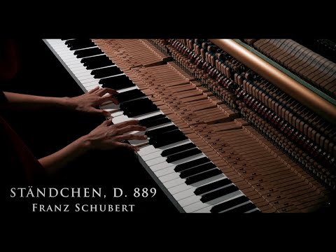 Видео: Шуберт - Серенада (Расслабляющая фортепианная музыка) [Schubert - Serenade (Ständchen)]