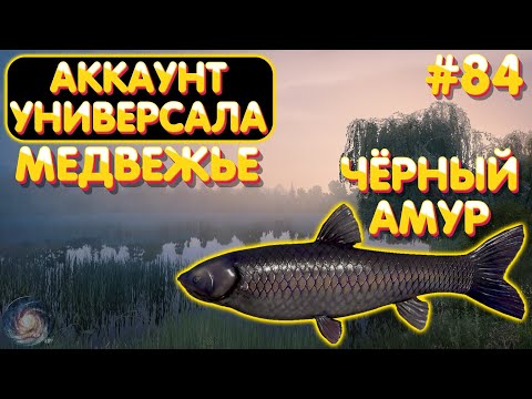 Видео: Аккаунт универсала #84 | Медвежье - Амур чёрный | Русская Рыбалка 4