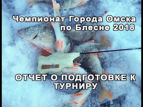 Видео: Чепионат  г.Омска по ловле на блесну 2018. Отчет о подготовке к турниру
