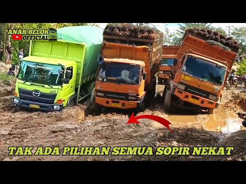 Видео: Худшая ситуация❗Дорога полностью парализована Грузовик Hino и грузовик Fuso отчаянно дерутся друг с