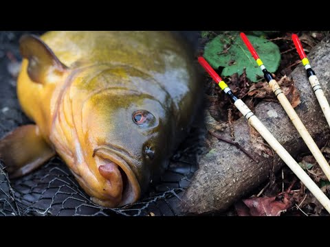 Видео: Ще Таке Не Ловив! Вдала Риболовля на Поплавок. Лин, Лящі та Черепаха!