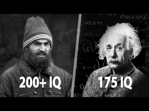 Видео: Самый Умный Человек за Всю Историю