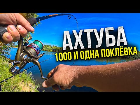 Видео: РЫБАЛКА НА ДОННУЮ СНАТЬ! Рыбалка с ночёвкой на АХТУБЕ! Сазан, язь, карась, амур, судак, щука