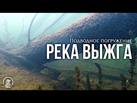 Видео: Река Выжга , Владимирская область 