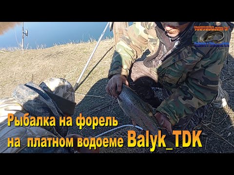 Видео: Рыбалка в Казахстане на форель, оз. Balyk_TDK  08.11.25