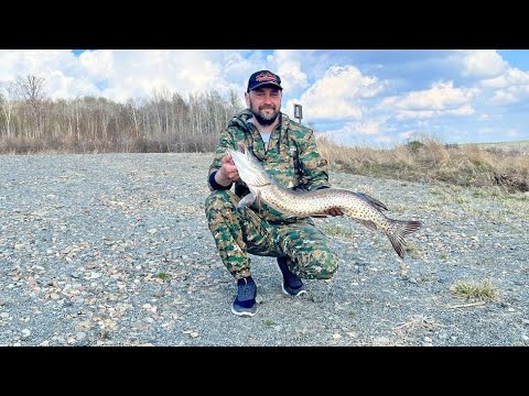 Видео: Открытие спиннинг сезона 2023. Небольшой видео отчет. Нижне-Бурейское водохранилище.