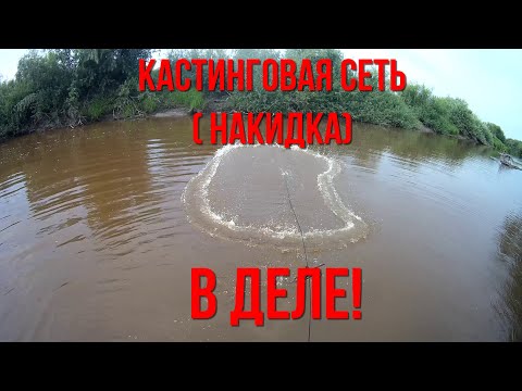 Видео: Кастинговая сеть (накидка) в деле!!! Просто отличная рыбалка!