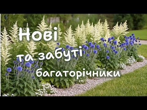 Видео: Багаторічники, про які ви можливо не чули.