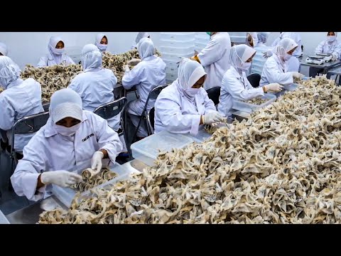 Видео: Как собирается самый дорогой урожай птичьих гнезд - Техника выращивания гнезд съедобных птиц