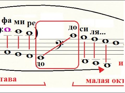 Видео: Скрипичный и басовый ключ. Чему не учат в школе.