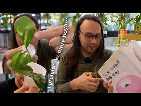 Видео: Еще больше новых Хойя!!! 😱 (а раньше они были довольно редкими)