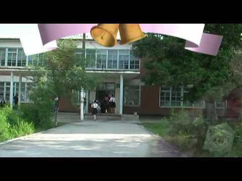 Видео: Тендик