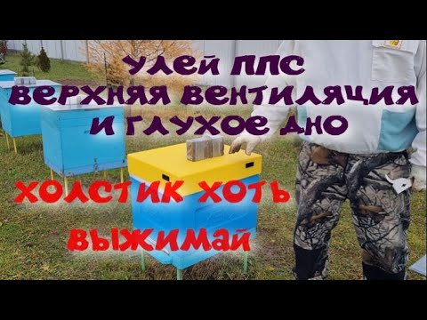 Видео: ВЕНТИЛЯЦИЯ И ЗИМОВКА В УЛЬЯХ ППС С ДЕРЕВЯННЫМ ДНОМ.ВЛАГА В УЛЬЕ.ЧТО ДЕЛАТЬ? ХОЛСТИК ХОТЬ ВЫЖИМАЙ.